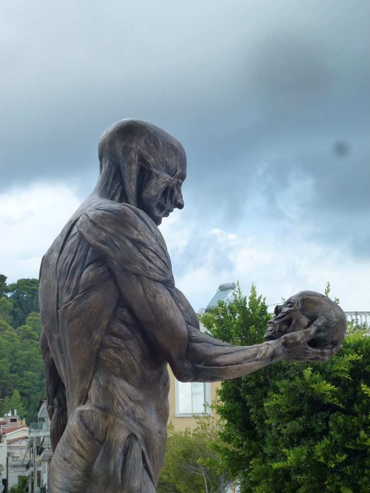 Vesalius' skinned man, Zakynthos (by Guy Cobolet) - 01 (3).jpg